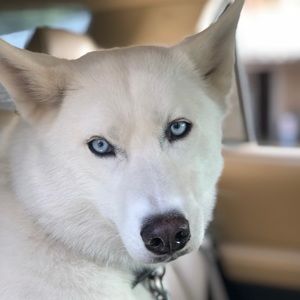 Meet your Posher, Paul